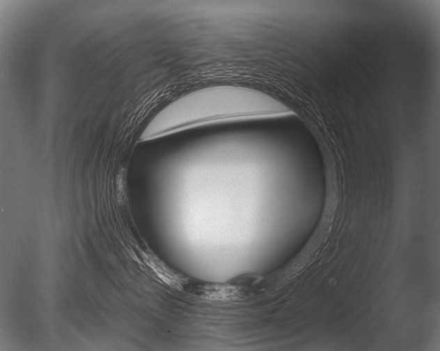 X0000086040288200703230902