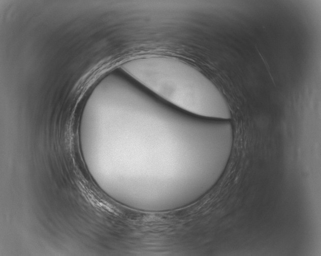 X0000086040290200703230901