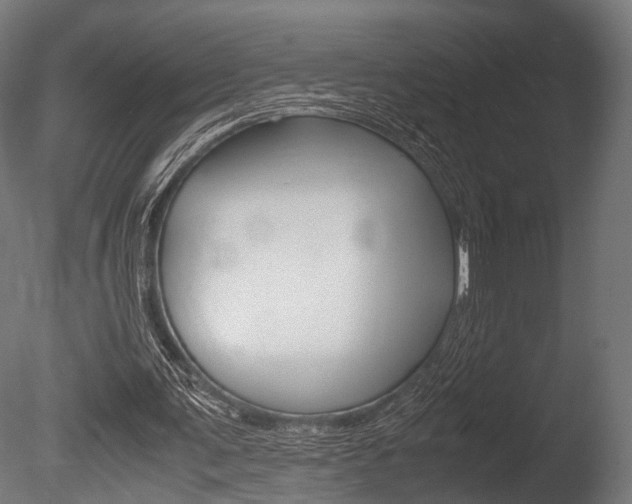 X0000086040291200703230901