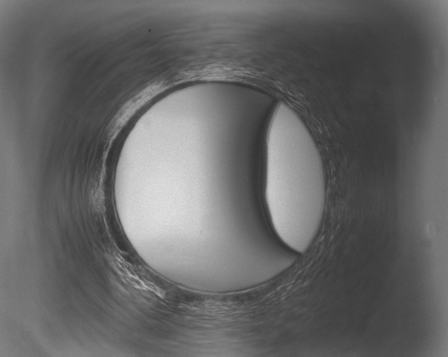X0000086040292200703230901