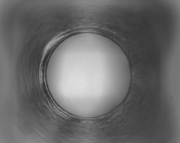 X0000086040294200703230901