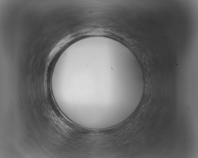 X0000086040296200703230901