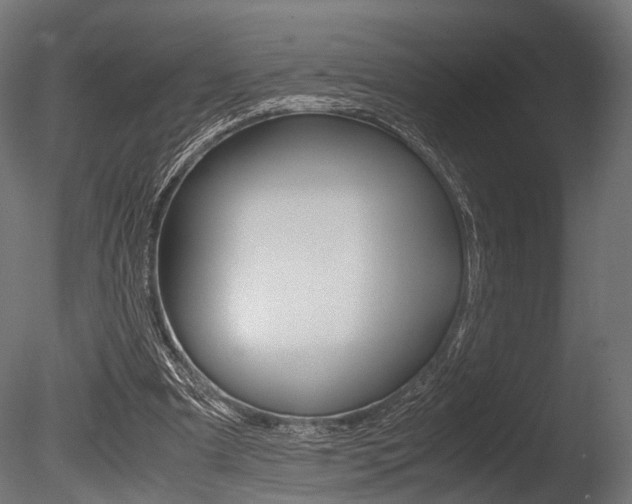 X0000086040297200703230901