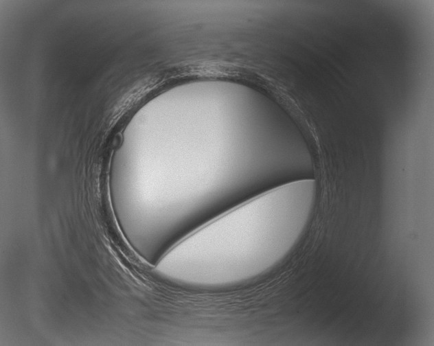 X0000086040299200703230901