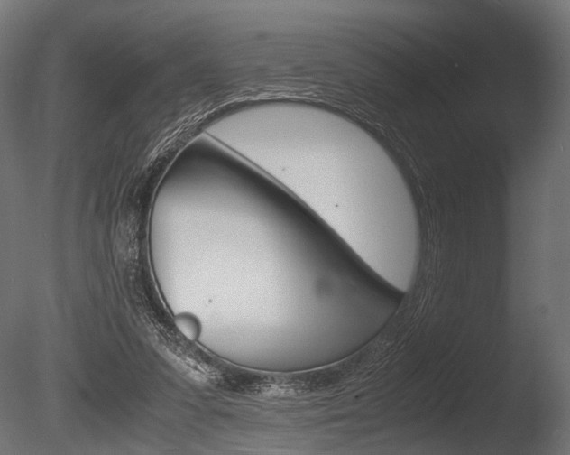X0000086040303200703230901