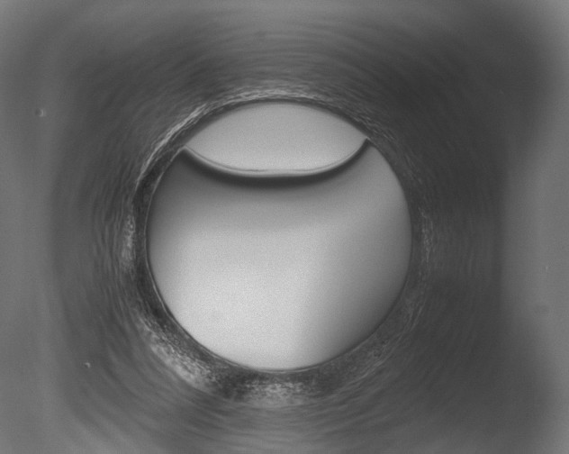 X0000086040304200703230901