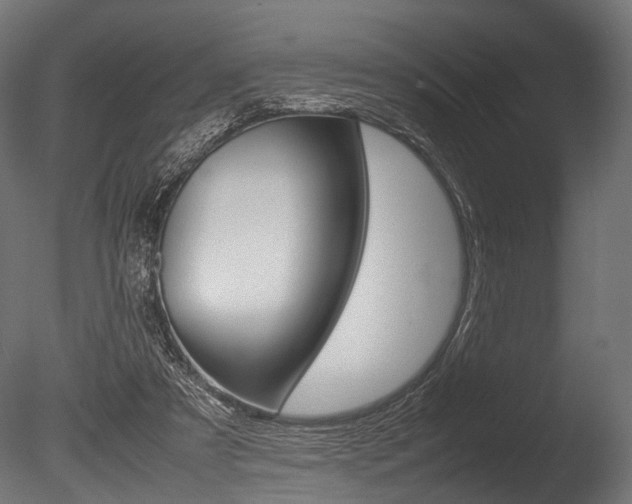 X0000086040305200703230901