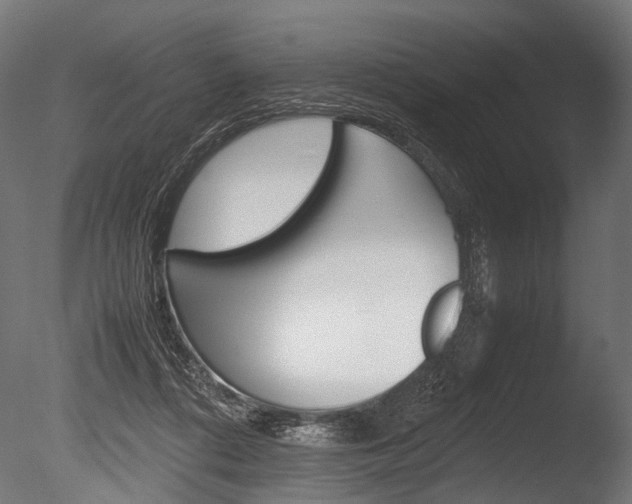 X0000086040312200703230901