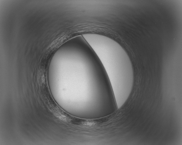 X0000086040313200703230901