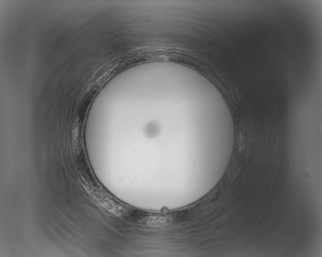 X0000086040314200703230901