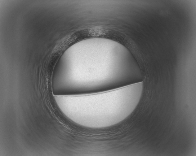 X0000086040315200703230901