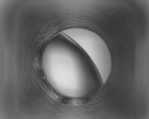 X0000086040317200703230901