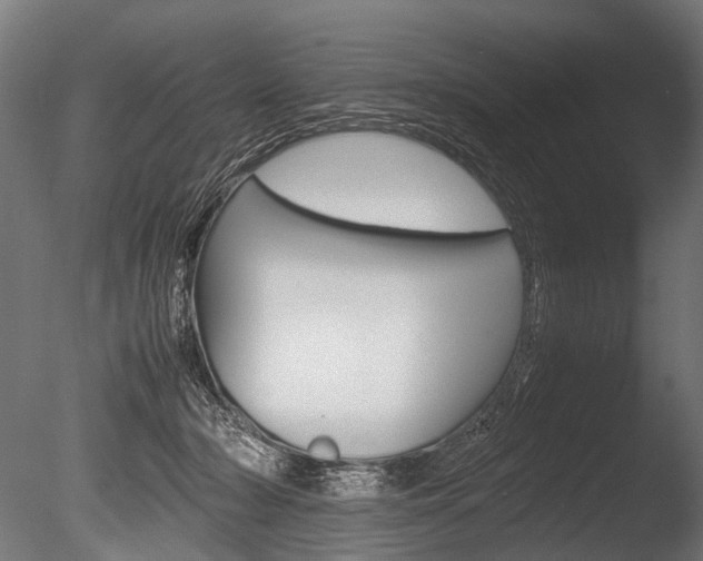 X0000086040318200703230901
