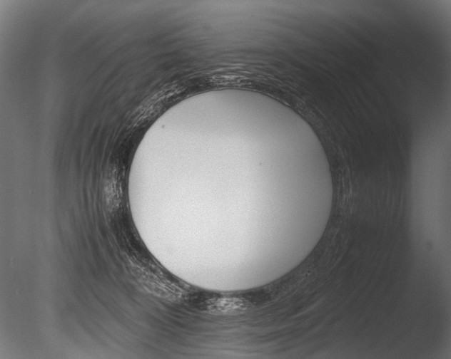 X0000086040324200703230901