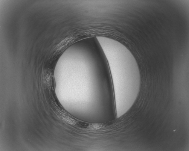 X0000086040329200703230901