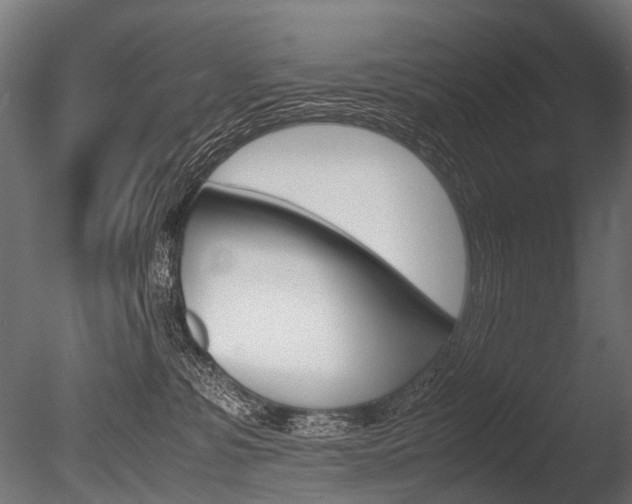 X0000086040331200703230901