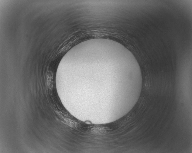X0000086040332200703230901