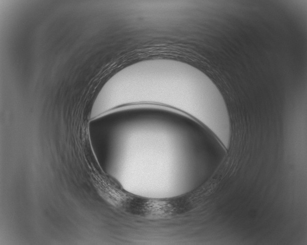 X0000086040333200703230901