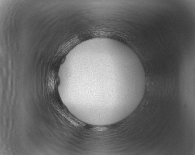 X0000086040334200703230901