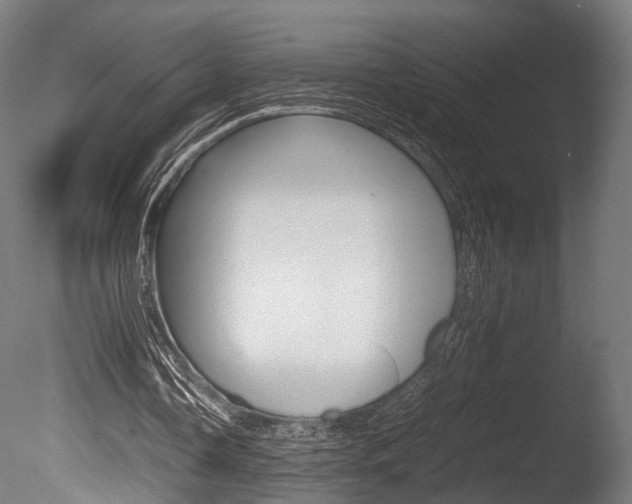 X0000086040338200703230900