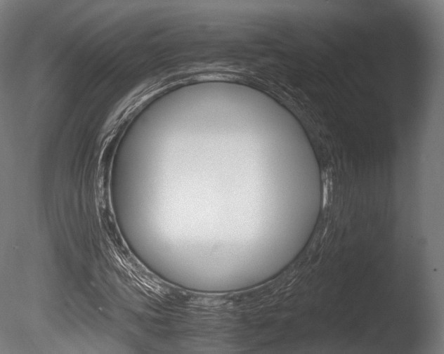 X0000086040339200703230900