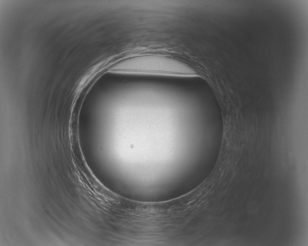 X0000086040340200703230900