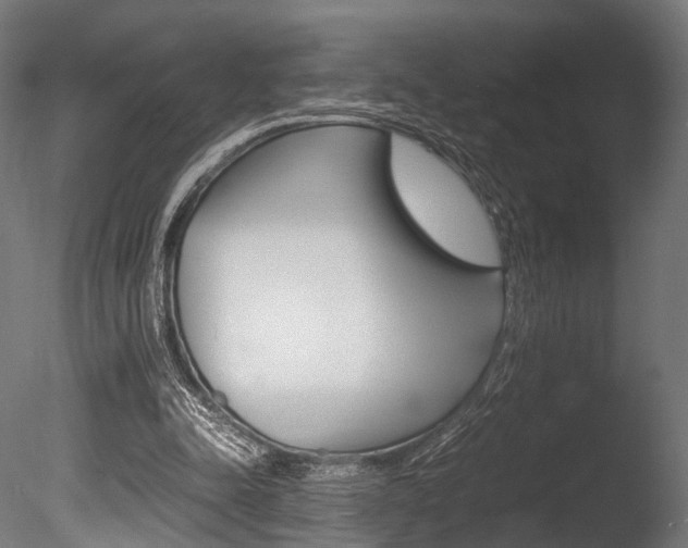 X0000086040342200703230900
