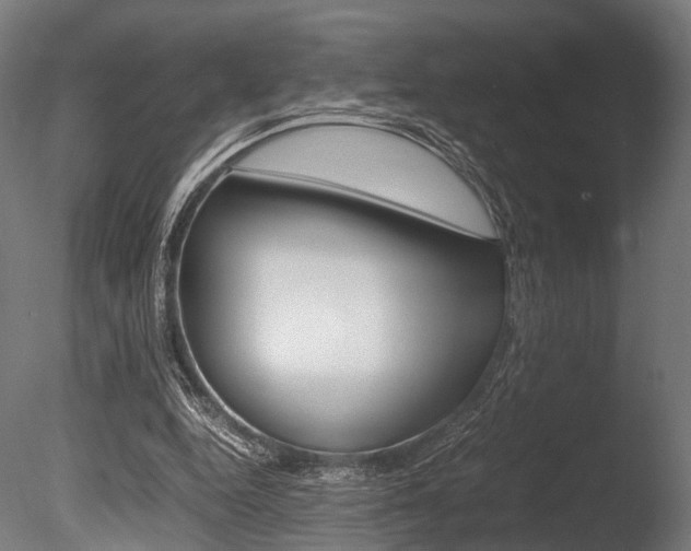 X0000086040344200703230900