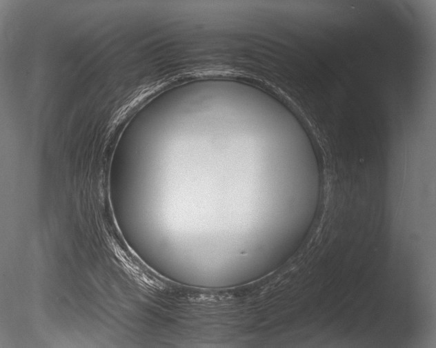 X0000086040345200703230900