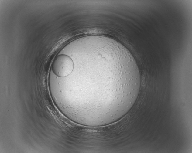 X0000086040347200703230900