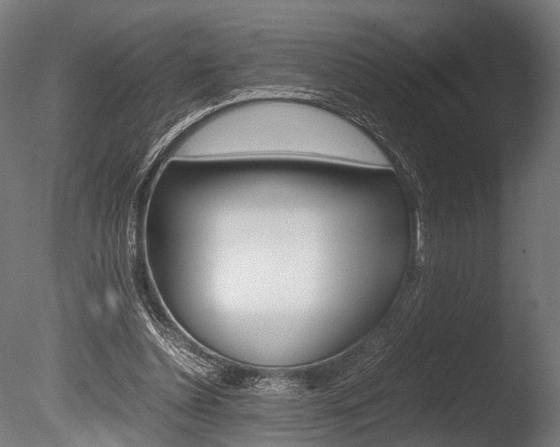 X0000086040348200703230900