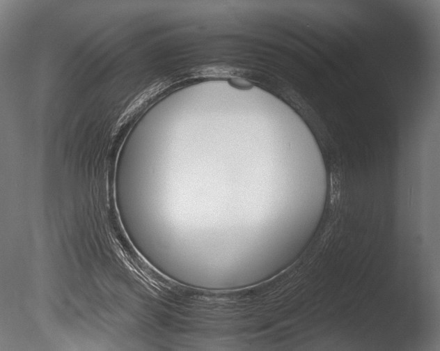 X0000086040349200703230900
