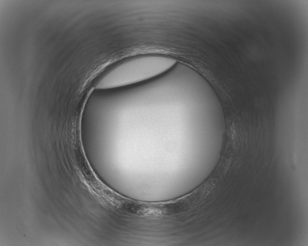 X0000086040352200703230900