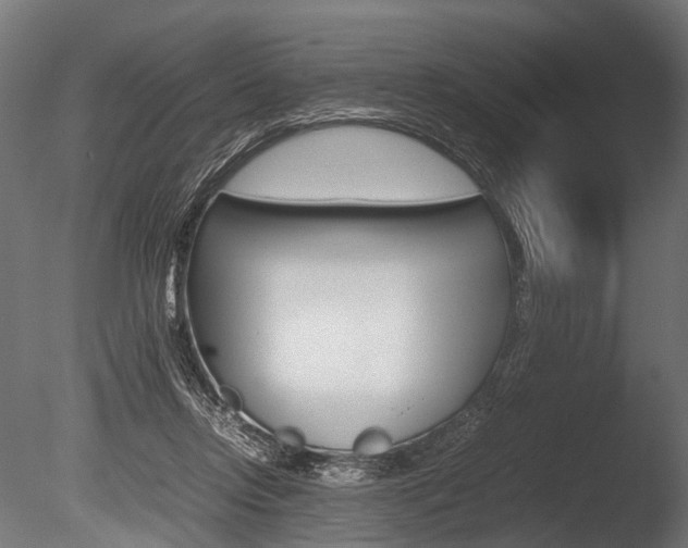 X0000086040358200703230900