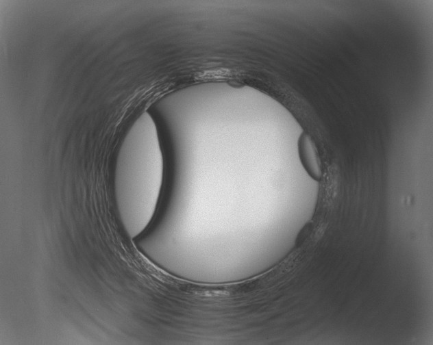 X0000086040361200703230900
