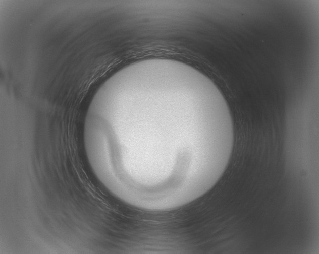 X0000086040362200703230900