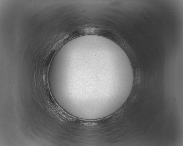 X0000086040363200703230900