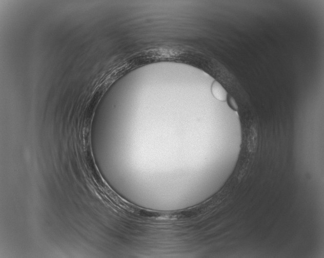 X0000086040366200703230900