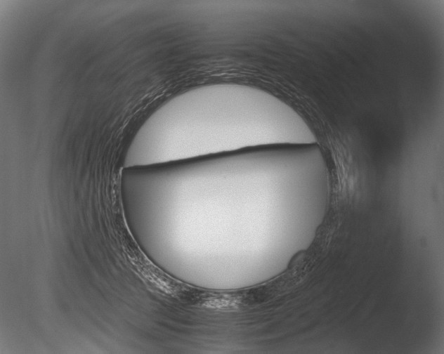 X0000086040369200703230900