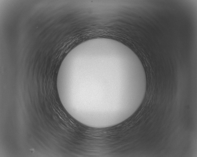 X0000086040384200703230901