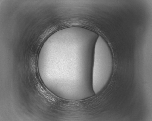 X0000086040386200703230900