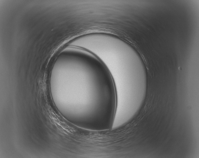 X0000086040387200703230900