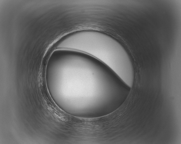 X0000086040388200703230900