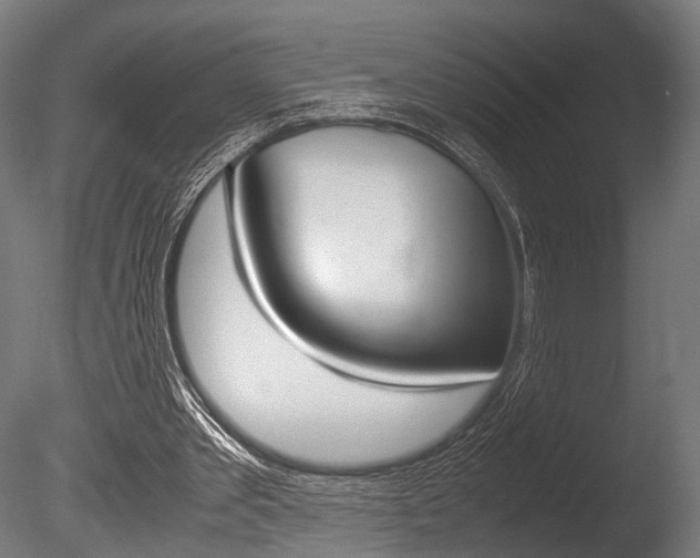 X0000086040389200703230900