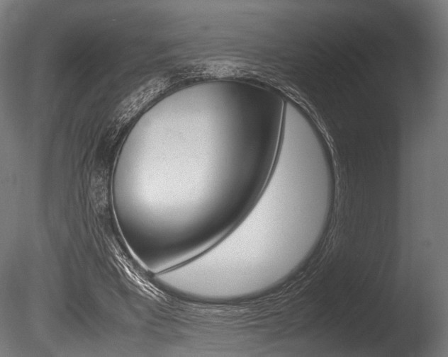 X0000086040393200703230900