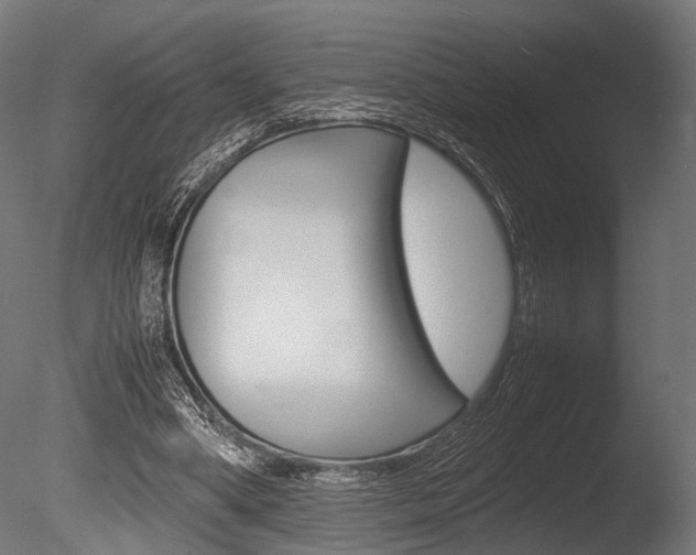 X0000086040394200703230900