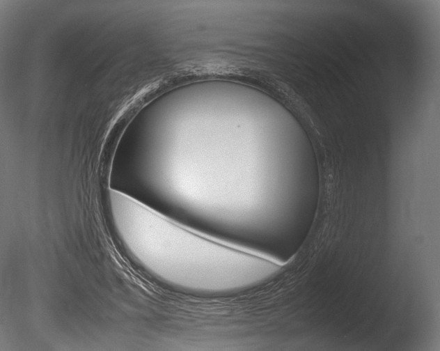 X0000086040395200703230900