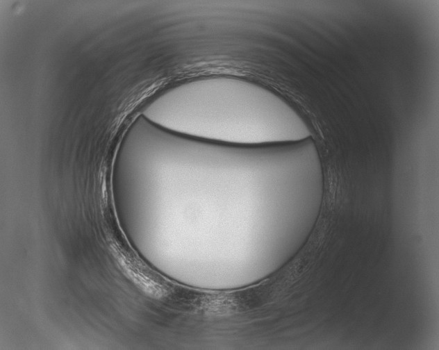 X0000086040398200703230859