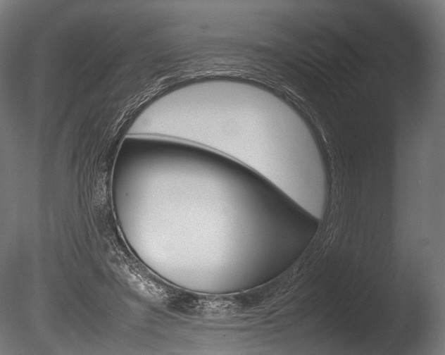 X0000086040401200703230859