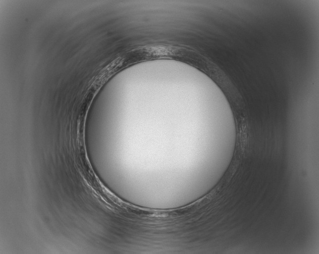 X0000086040406200703230859